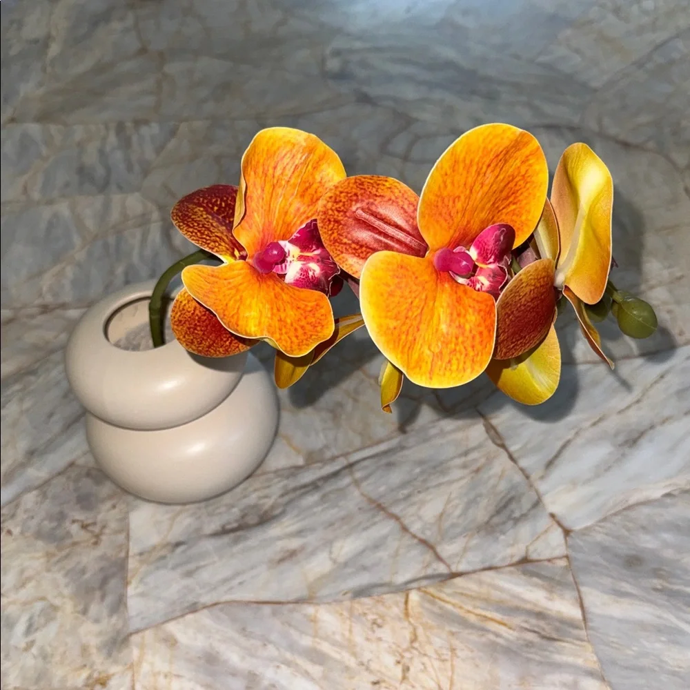 Vibrant Orange Orchid in Cream Vase‎